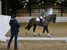 Image 55 in AREA 14 DRESSAGE QUALIFIERS AT BROADS EC.. 10 JAN. 2016