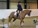 Image 7 in AREA 14 DRESSAGE QUALIFIERS AT BROADS EC.. 10 JAN. 2016