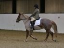 Image 86 in AREA 14 DRESSAGE QUALIFIERS AT BROADS EC.. 10 JAN. 2016