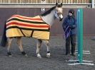 Image 10 in EAST ANGLIAN HORSE AGILITY AT WORLD HORSE WELFARE 17 JAN. 2015.