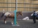 Image 14 in EAST ANGLIAN HORSE AGILITY AT WORLD HORSE WELFARE 17 JAN. 2015.