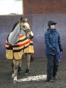 Image 17 in EAST ANGLIAN HORSE AGILITY AT WORLD HORSE WELFARE 17 JAN. 2015.