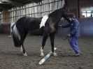 Image 18 in EAST ANGLIAN HORSE AGILITY AT WORLD HORSE WELFARE 17 JAN. 2015.