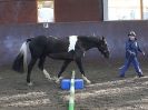 Image 19 in EAST ANGLIAN HORSE AGILITY AT WORLD HORSE WELFARE 17 JAN. 2015.