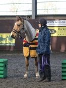 Image 21 in EAST ANGLIAN HORSE AGILITY AT WORLD HORSE WELFARE 17 JAN. 2015.