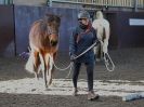 Image 22 in EAST ANGLIAN HORSE AGILITY AT WORLD HORSE WELFARE 17 JAN. 2015.