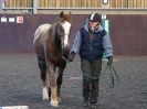 Image 23 in EAST ANGLIAN HORSE AGILITY AT WORLD HORSE WELFARE 17 JAN. 2015.