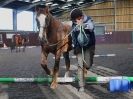 Image 25 in EAST ANGLIAN HORSE AGILITY AT WORLD HORSE WELFARE 17 JAN. 2015.