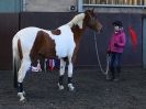 Image 27 in EAST ANGLIAN HORSE AGILITY AT WORLD HORSE WELFARE 17 JAN. 2015.