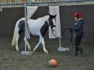 Image 29 in EAST ANGLIAN HORSE AGILITY AT WORLD HORSE WELFARE  17 JAN. 2015.