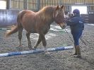 Image 30 in EAST ANGLIAN HORSE AGILITY AT WORLD HORSE WELFARE 17 JAN. 2015.