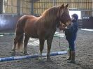 Image 31 in EAST ANGLIAN HORSE AGILITY AT WORLD HORSE WELFARE 17 JAN. 2015.