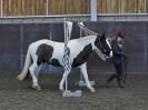 Image 32 in EAST ANGLIAN HORSE AGILITY AT WORLD HORSE WELFARE  17 JAN. 2015.