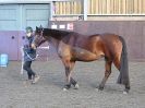 Image 33 in EAST ANGLIAN HORSE AGILITY AT WORLD HORSE WELFARE 17 JAN. 2015.