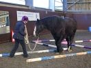 Image 34 in EAST ANGLIAN HORSE AGILITY AT WORLD HORSE WELFARE  17 JAN. 2015.