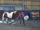 Image 37 in EAST ANGLIAN HORSE AGILITY AT WORLD HORSE WELFARE 17 JAN. 2015.