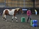 Image 38 in EAST ANGLIAN HORSE AGILITY AT WORLD HORSE WELFARE 17 JAN. 2015.