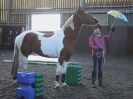Image 39 in EAST ANGLIAN HORSE AGILITY AT WORLD HORSE WELFARE 17 JAN. 2015.
