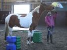 Image 40 in EAST ANGLIAN HORSE AGILITY AT WORLD HORSE WELFARE 17 JAN. 2015.
