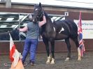 Image 43 in EAST ANGLIAN HORSE AGILITY AT WORLD HORSE WELFARE  17 JAN. 2015.