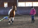 Image 44 in EAST ANGLIAN HORSE AGILITY AT WORLD HORSE WELFARE  17 JAN. 2015.