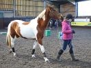 Image 45 in EAST ANGLIAN HORSE AGILITY AT WORLD HORSE WELFARE 17 JAN. 2015.