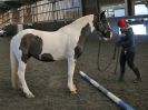Image 46 in EAST ANGLIAN HORSE AGILITY AT WORLD HORSE WELFARE 17 JAN. 2015.
