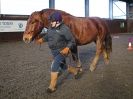 Image 49 in EAST ANGLIAN HORSE AGILITY AT WORLD HORSE WELFARE 17 JAN. 2015.