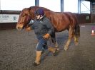 Image 49 in EAST ANGLIAN HORSE AGILITY AT WORLD HORSE WELFARE  17 JAN. 2015.