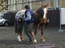 Image 50 in EAST ANGLIAN HORSE AGILITY AT WORLD HORSE WELFARE 17 JAN. 2015.