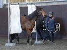 Image 51 in EAST ANGLIAN HORSE AGILITY AT WORLD HORSE WELFARE 17 JAN. 2015.