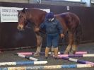 Image 53 in EAST ANGLIAN HORSE AGILITY AT WORLD HORSE WELFARE 17 JAN. 2015.