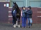 Image 54 in EAST ANGLIAN HORSE AGILITY AT WORLD HORSE WELFARE 17 JAN. 2015.