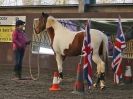 Image 56 in EAST ANGLIAN HORSE AGILITY AT WORLD HORSE WELFARE  17 JAN. 2015.