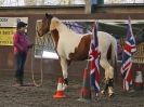 Image 56 in EAST ANGLIAN HORSE AGILITY AT WORLD HORSE WELFARE 17 JAN. 2015.