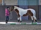 Image 59 in EAST ANGLIAN HORSE AGILITY AT WORLD HORSE WELFARE 17 JAN. 2015.