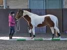 Image 59 in EAST ANGLIAN HORSE AGILITY AT WORLD HORSE WELFARE  17 JAN. 2015.