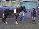 Image 62 in EAST ANGLIAN HORSE AGILITY AT WORLD HORSE WELFARE  17 JAN. 2015.