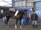 Image 63 in EAST ANGLIAN HORSE AGILITY AT WORLD HORSE WELFARE 17 JAN. 2015.