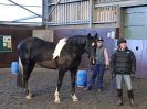 Image 63 in EAST ANGLIAN HORSE AGILITY AT WORLD HORSE WELFARE  17 JAN. 2015.