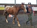 Image 66 in EAST ANGLIAN HORSE AGILITY AT WORLD HORSE WELFARE  17 JAN. 2015.