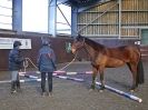 Image 67 in EAST ANGLIAN HORSE AGILITY AT WORLD HORSE WELFARE 17 JAN. 2015.