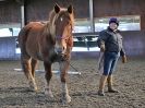 Image 69 in EAST ANGLIAN HORSE AGILITY AT WORLD HORSE WELFARE  17 JAN. 2015.