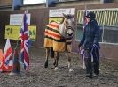 Image 70 in EAST ANGLIAN HORSE AGILITY AT WORLD HORSE WELFARE  17 JAN. 2015.