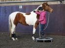 Image 72 in EAST ANGLIAN HORSE AGILITY AT WORLD HORSE WELFARE 17 JAN. 2015.