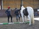 Image 73 in EAST ANGLIAN HORSE AGILITY AT WORLD HORSE WELFARE 17 JAN. 2015.