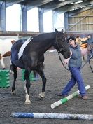 Image 74 in EAST ANGLIAN HORSE AGILITY AT WORLD HORSE WELFARE 17 JAN. 2015.