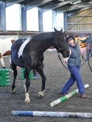 Image 74 in EAST ANGLIAN HORSE AGILITY AT WORLD HORSE WELFARE  17 JAN. 2015.