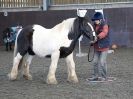 EAST ANGLIAN HORSE AGILITY AT WORLD HORSE WELFARE  17 JAN. 2015.