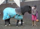 Image 10 in EAST ANGLIAN HORSE AGILITY AT WORLD HORSE WELFARE 17 JAN. 2015.